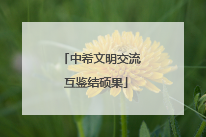 中希文明交流互鉴结硕果