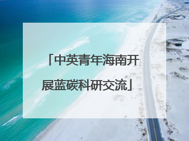 中英青年海南开展蓝碳科研交流