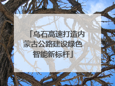 乌石高速打造内蒙古公路建设绿色智能新标杆