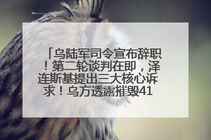 乌陆军司令宣布辞职！第二轮谈判在即，泽连斯基提出三大核心诉求！乌方透露摧毁41架俄战略轰炸机