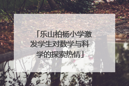 乐山柏杨小学激发学生对数学与科学的探索热情