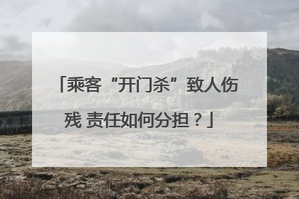 乘客“开门杀”致人伤残 责任如何分担？