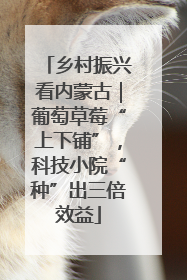 乡村振兴看内蒙古｜葡萄草莓“上下铺”，科技小院“种”出三倍效益