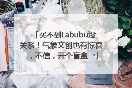 买不到Labubu没关系！气象文创也有惊喜，不信，开个盲盒→