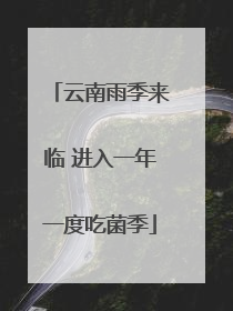 云南雨季来临 进入一年一度吃菌季