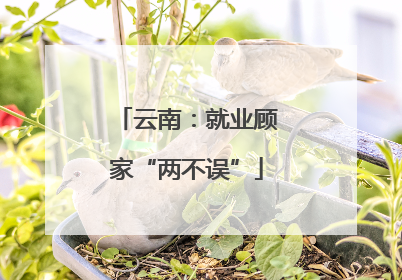 云南：就业顾家“两不误”