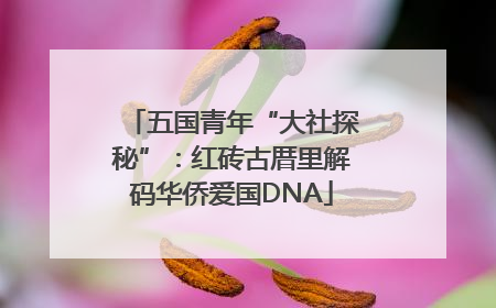 五国青年“大社探秘”：红砖古厝里解码华侨爱国DNA
