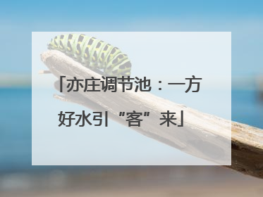 亦庄调节池：一方好水引“客”来