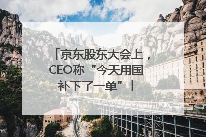 京东股东大会上，CEO称“今天用国补下了一单”