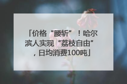 价格“腰斩”！哈尔滨人实现“荔枝自由”，日均消费100吨
