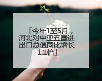 今年1至5月，河北对中亚五国进出口总值同比增长1.1倍