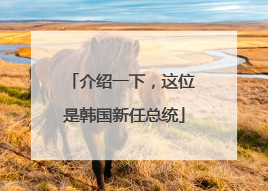 介绍一下，这位是韩国新任总统