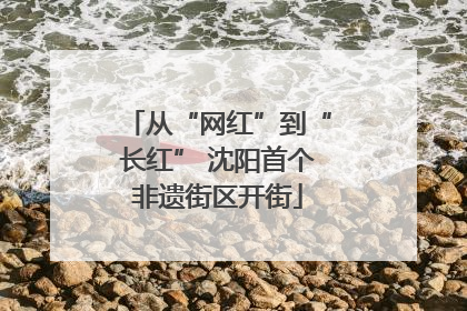 从“网红”到“长红” 沈阳首个非遗街区开街