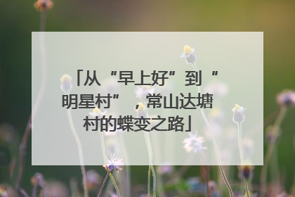 从“早上好”到“明星村”，常山达塘村的蝶变之路