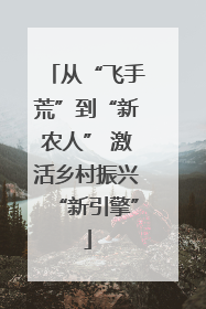 从“飞手荒”到“新农人” 激活乡村振兴“新引擎”