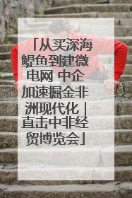 从买深海鳀鱼到建微电网 中企加速掘金非洲现代化｜直击中非经贸博览会