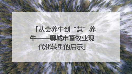 从会养牛到“慧”养牛——聊城市畜牧业现代化转型的启示