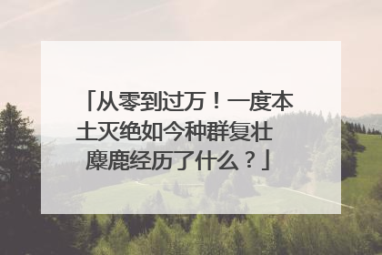 从零到过万！一度本土灭绝如今种群复壮 麋鹿经历了什么？