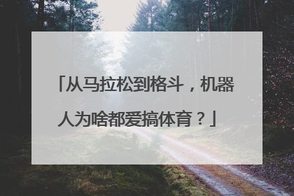 从马拉松到格斗，机器人为啥都爱搞体育？