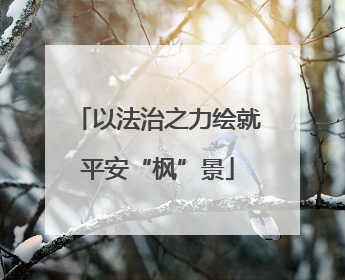 以法治之力绘就平安“枫”景