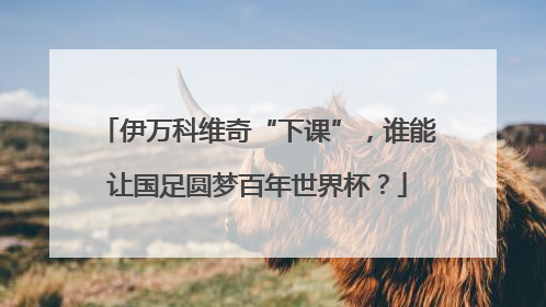 伊万科维奇“下课”，谁能让国足圆梦百年世界杯？