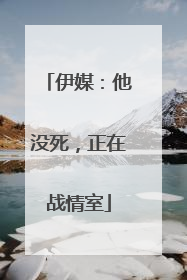 伊媒：他没死，正在战情室