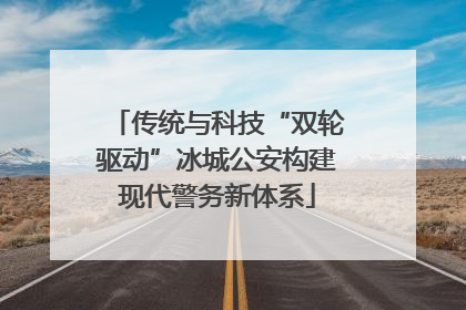 传统与科技“双轮驱动”冰城公安构建现代警务新体系