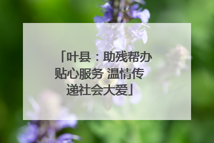 叶县：助残帮办贴心服务 温情传递社会大爱