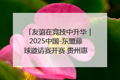 友谊在竞技中升华｜2025中国-东盟藤球邀请赛开赛 贵州惠水燃动“空中芭蕾”