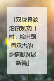 双牌县泷泊镇观文口村：粽叶飘香承古韵 乡情凝聚展新篇