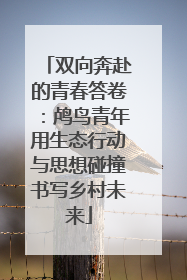 双向奔赴的青春答卷：鸬鸟青年用生态行动与思想碰撞书写乡村未来