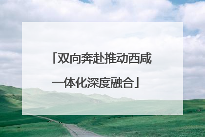 双向奔赴推动西咸一体化深度融合