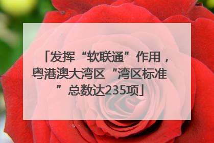 发挥“软联通”作用，粤港澳大湾区“湾区标准”总数达235项