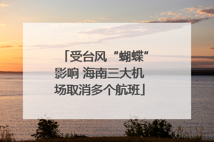 受台风“蝴蝶”影响 海南三大机场取消多个航班