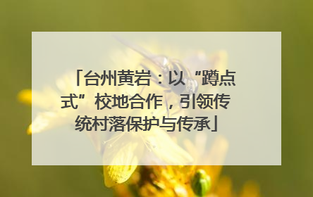 台州黄岩：以“蹲点式”校地合作，引领传统村落保护与传承