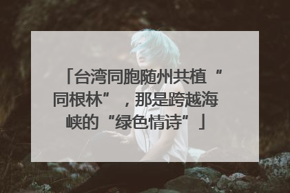 台湾同胞随州共植“同根林”，那是跨越海峡的“绿色情诗”