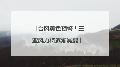 台风黄色预警！三亚风力将逐渐减弱