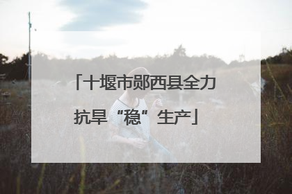 十堰市郧西县全力抗旱“稳”生产