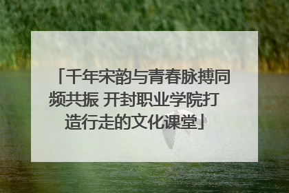 千年宋韵与青春脉搏同频共振 开封职业学院打造行走的文化课堂