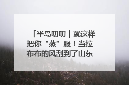 半岛叨叨｜就这样把你“蒸”服！当拉布布的风刮到了山东馒头界……