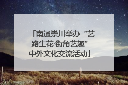 南通崇川举办“艺路生花·街角艺趣”中外文化交流活动