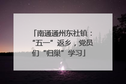 南通通州东社镇:“五一”返乡,党员们“归巢”学习