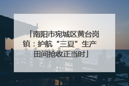南阳市宛城区黄台岗镇：护航“三夏”生产 田间抢收正当时