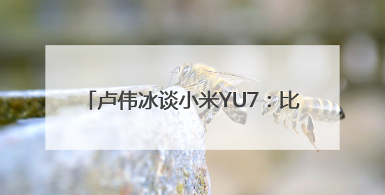 卢伟冰谈小米YU7：比SU7有更大的受众面