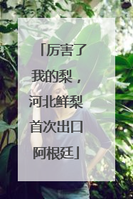 厉害了我的梨，河北鲜梨首次出口阿根廷