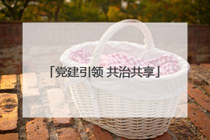 党建引领 共治共享