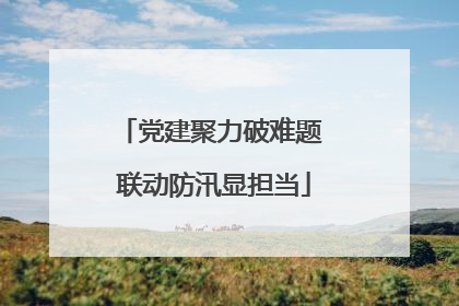 党建聚力破难题 联动防汛显担当