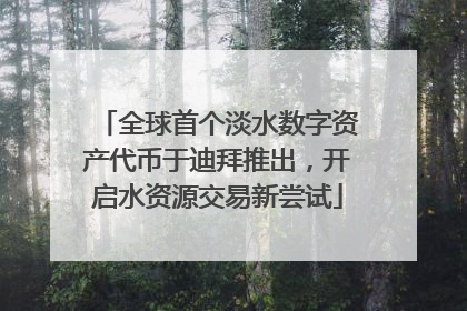 全球首个淡水数字资产代币于迪拜推出，开启水资源交易新尝试