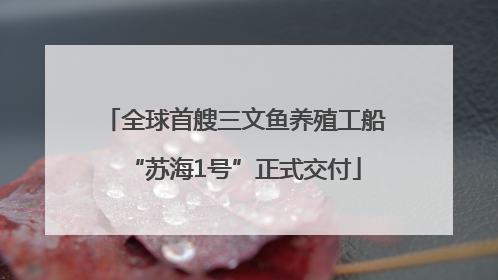 全球首艘三文鱼养殖工船“苏海1号”正式交付