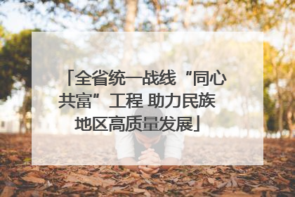 全省统一战线“同心共富”工程 助力民族地区高质量发展